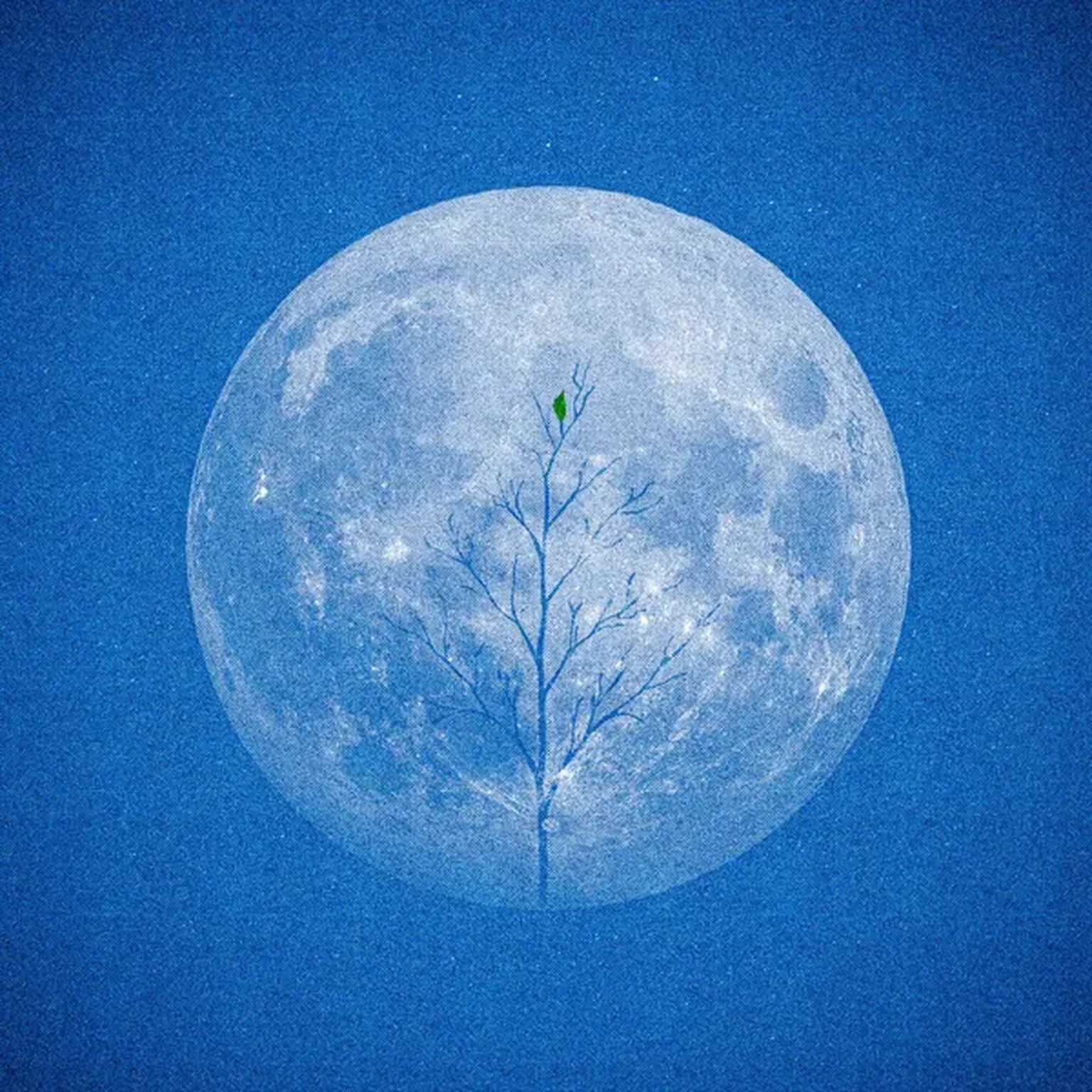 Она не виновата