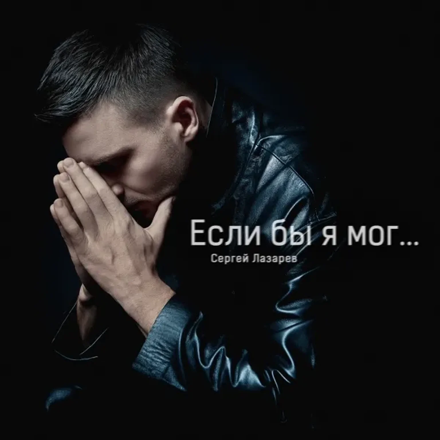 Если бы я мог