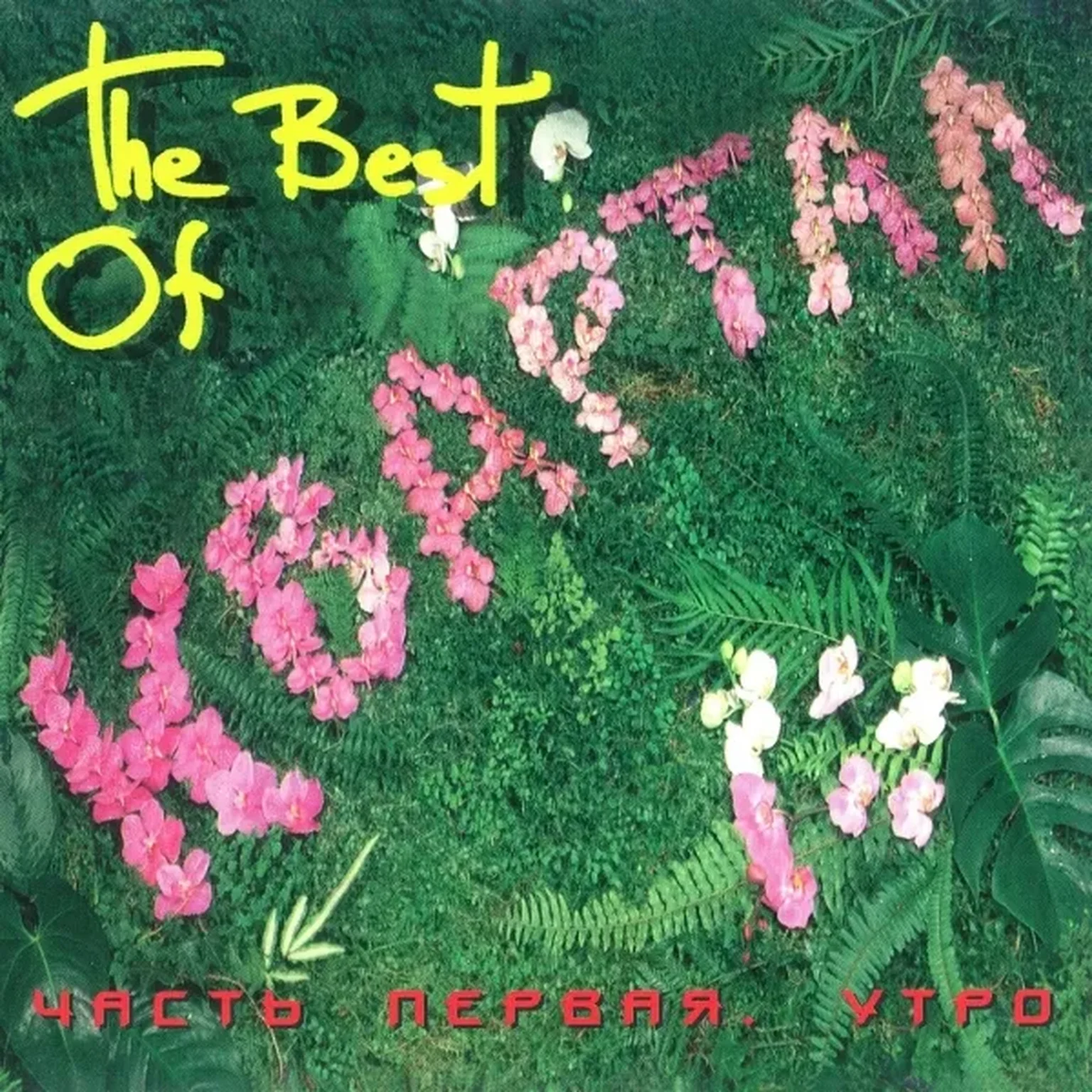 Парамарибо