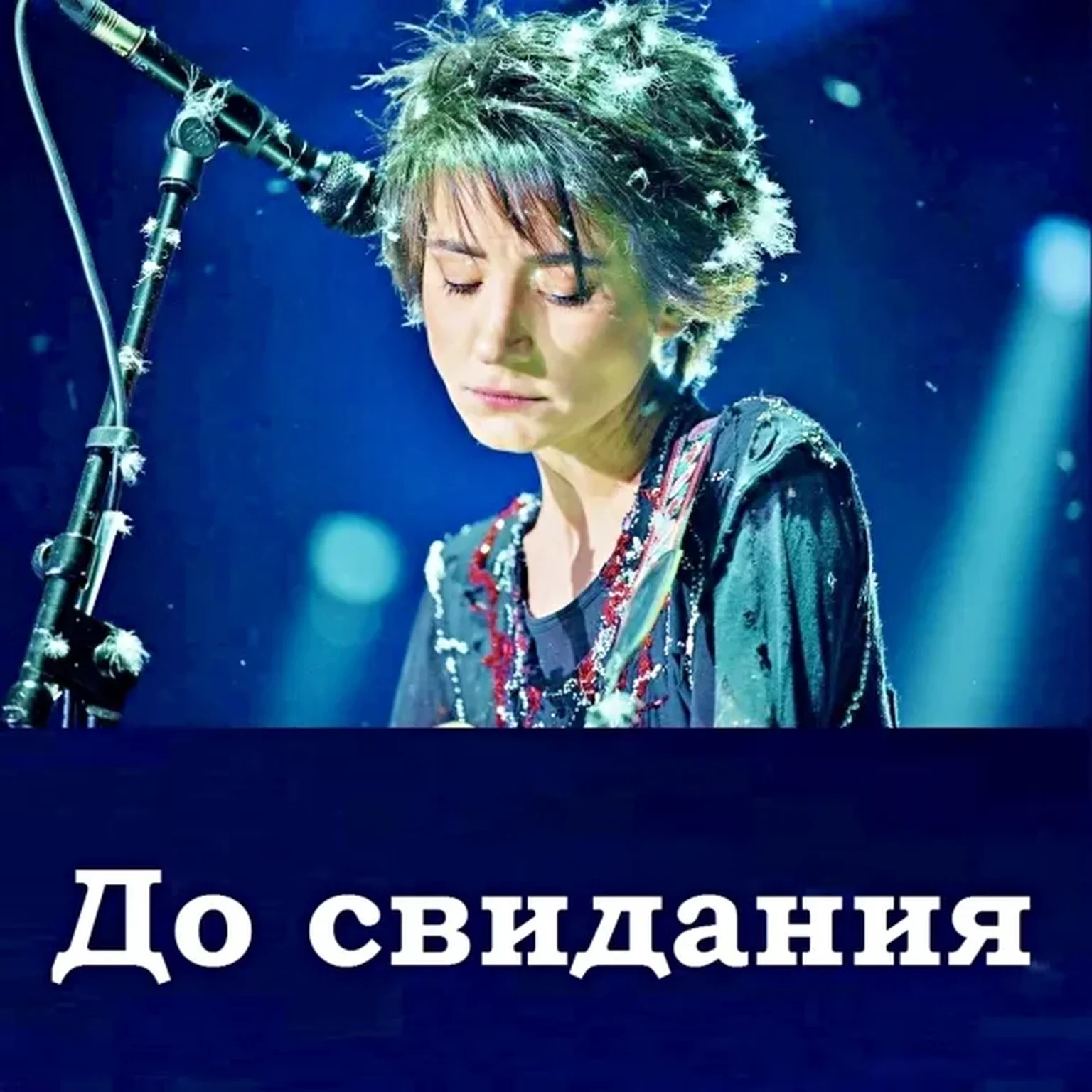 До свидания