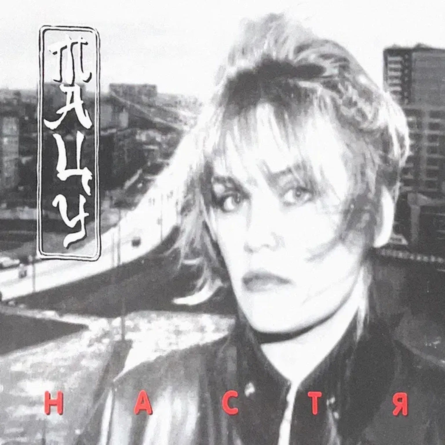 Снежные волки