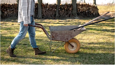 Дачникам дали советы по весенней подготовке участков: от перекопки до теплиц