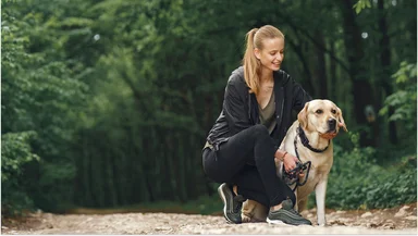 Бег с питомцем: главные правила, чтобы не навредить собаке