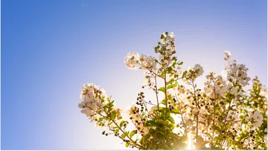 Циклон уходит: синоптики пообещали тепло в Москве после праздников