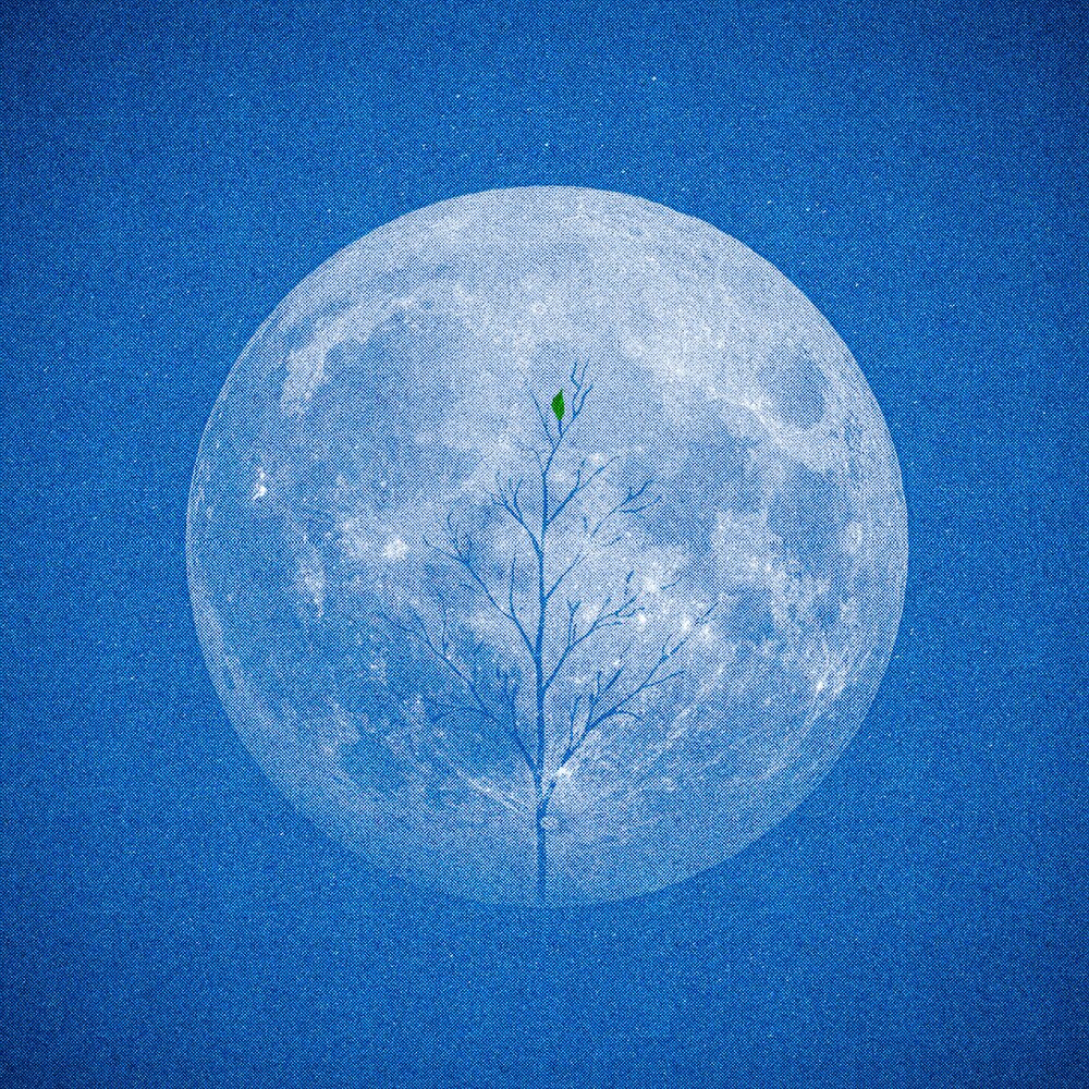 Она не виновата