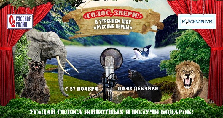 Новости
