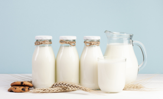 Диетолог посоветовала употреблять три типа молочной продукции
